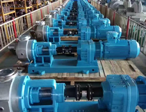 NYP高粘度內(nèi)齒泵 NYP高粘度內(nèi)齒泵